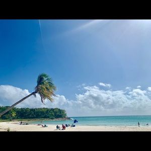 Meet your Posher, Zhimo